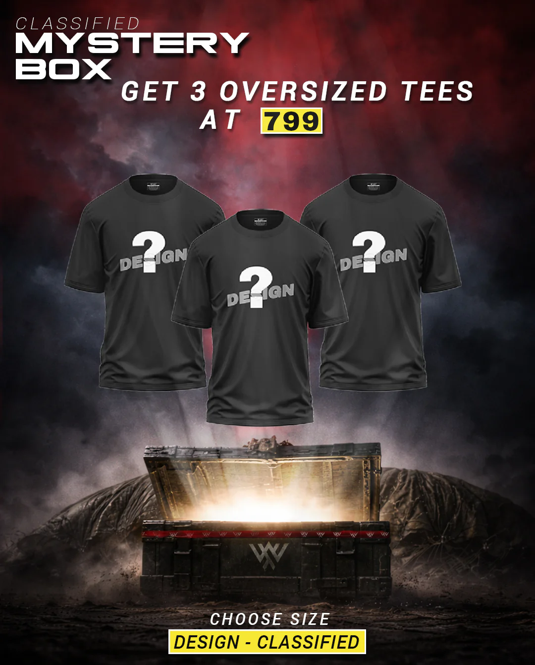 Mystery Box - Get 2 Mystery Oversized T-Shirt